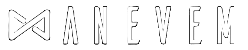 anevem software and marketing agency light